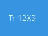 Tr 12X3 